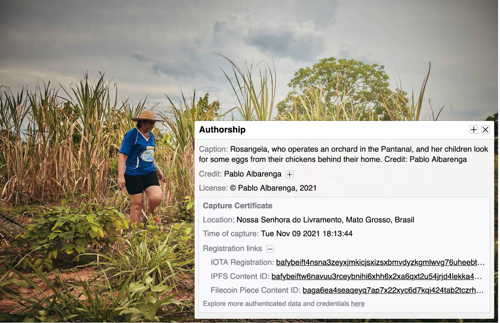 A woman walking through a wetland with the Four Corners metadata overlaying the image